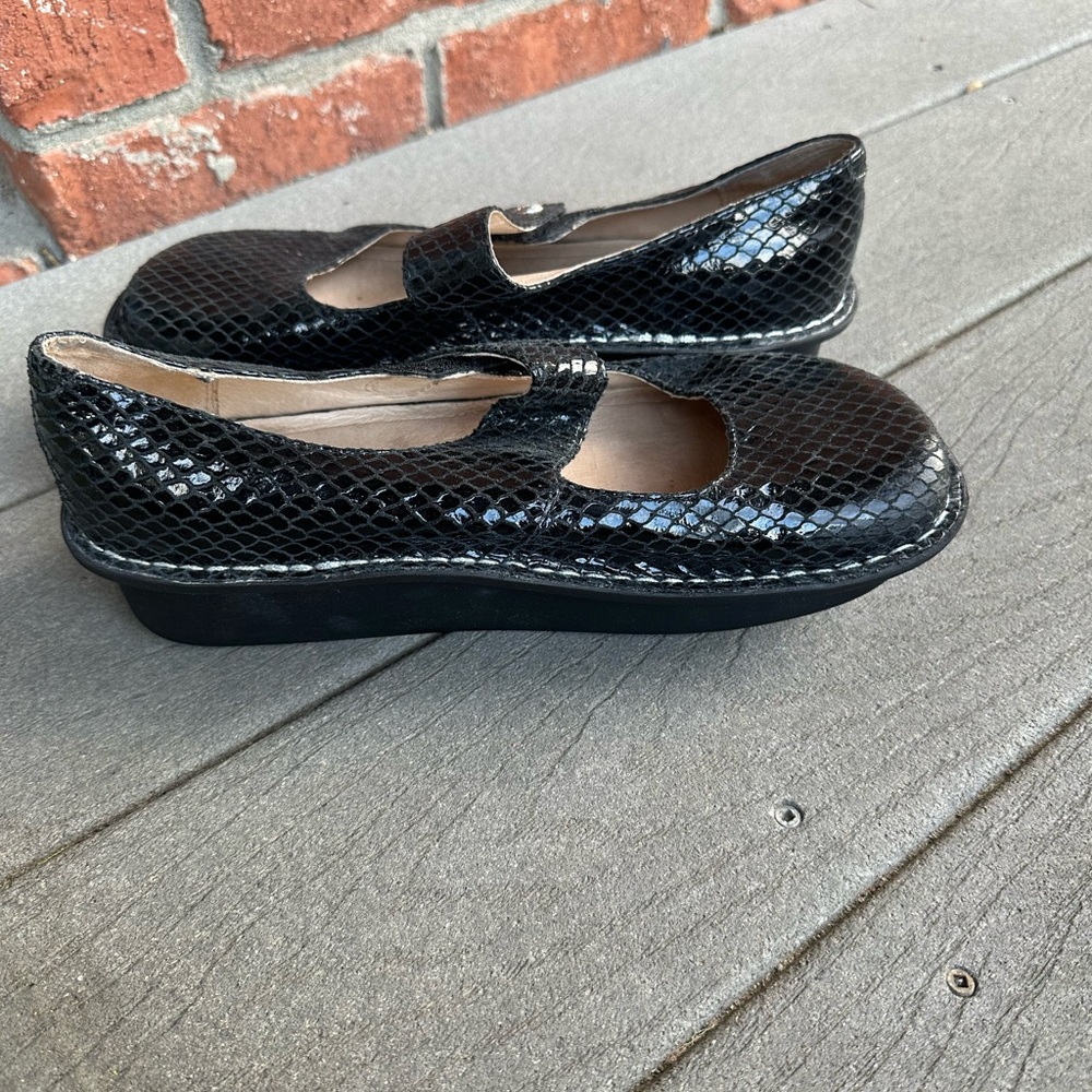 EUC Alegria Paloma collect in black snake - Picture 3 of 9